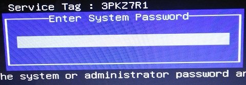 dell enter system password